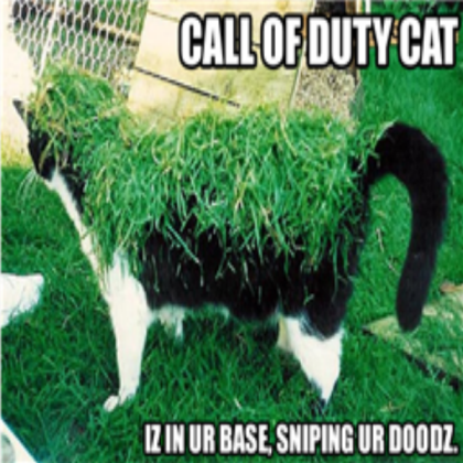 Call of Duty cat Roblox decal