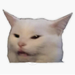 Kats play