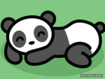 Panda123Squad