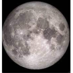MOON123"S group