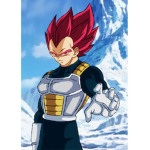 Le groupe fan d’animez
