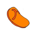 The Flip Flop Believers