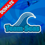 #TeamSeas Clean The Ocean