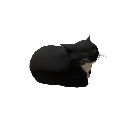 maxwell the cat