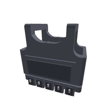 Vest