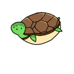 iLiekTurtles