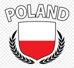 Polacy z ROBLOX