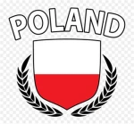 Polacy z ROBLOX Group Thumbnail