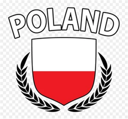 Polacy z ROBLOX Roblox group icon
