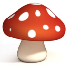 Mushrooms_with_ kindness