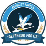 Air Force Security Forces ᅠᅠᅠ ᅠᅠᅠ