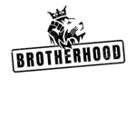 | The Brotherhood