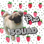 🐶 Pug Squad 💞