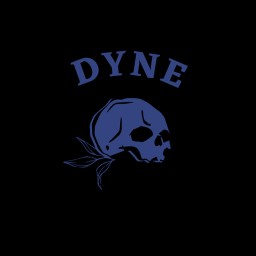 The Dyne Border | New Update!