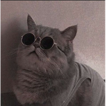 Rich cats Of The Fair Life.