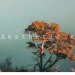 Aesthetic’s homestore
