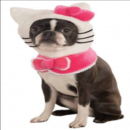 hello kitty dog Roblox decal