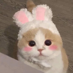 softie &‘ aesthetic clothes <3