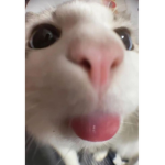 WeirdArteest