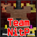 Team NitP