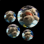 Doggo Group_07
