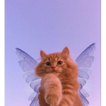 CAT SQUAD AESTHETIC