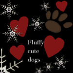 Fluffy cute dogs
