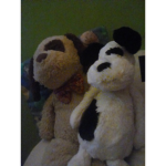 Buddy (my toy)