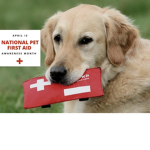 Cats and dog luvers