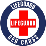 LG — Lifeguard