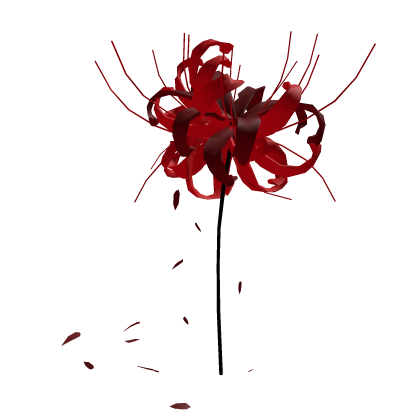 Big Lycoris Japanese 🕷 | Spider Lily | Back