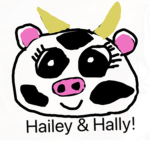 Haileys firework fans