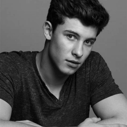 #Shawnmendes's Place Number: #