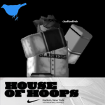 House of Hoops.™