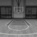 Basketball Testing icon