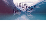 life is beauty