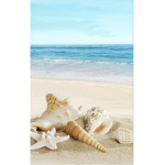 seaside shells!