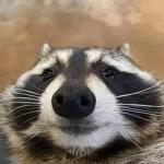 PoopDealer
