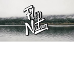 FlipNation