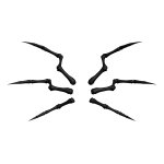 Black Back Spider Legs