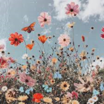Bloom’s Group
