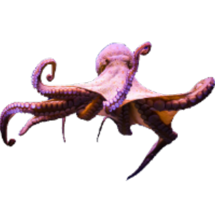 octopus icon Roblox decal
