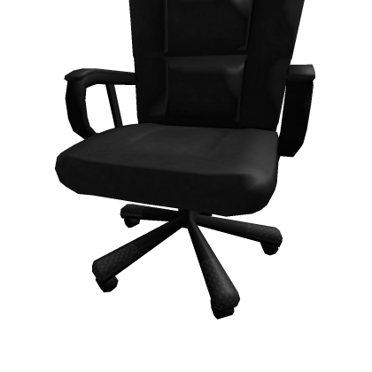 My Office/Meeting Chair