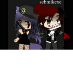 Seguidores.Exe