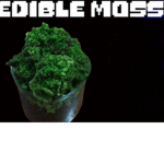 [PURE SEAS] MossFinders