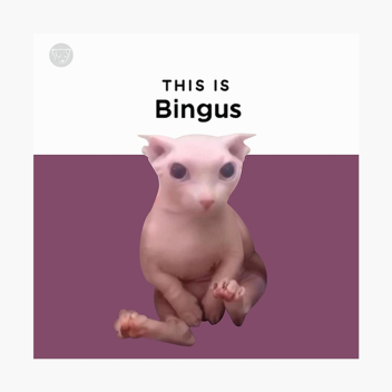 cart ride into bingus