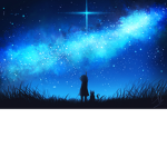 Reaching for the shining stars!