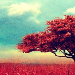 all ⍟❀✲