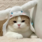 cloudy ~