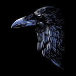 The Dark Bird Team.